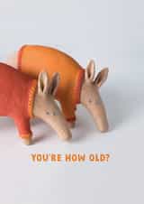 Funny Aardvark Birthday Card – Quirky 'You’re How Old?' created by Redback Cards