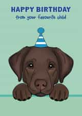 Cute Birthday Card - Chocolate Labrador created by Choo Choo 