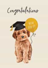 Cute Graduation Card - Cockapoo created by Debbie Daley Illustrations