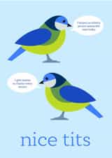 Nice Tits! Funny rude bird card for friend or partner created by Fourteen Two Design