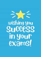 Fun Good Luck Card - Wishing You Success - Exams created by @hollielonglanddesigns
