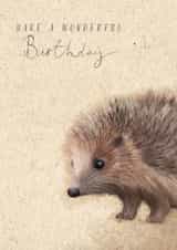 Cute Birthday Card - Hedgehog - Illustration created by Great British Card Company