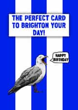Brighton FC Birthday Card - The Seagulls - Pun created by ZB CREATIVE