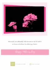 Pink Carnations Fine Art Contemporary Card for Mother's Day - minimalist created by Nathan Still Cards