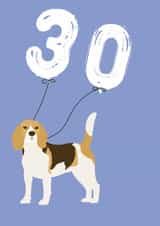 Cute Birthday Card - 30th - Beagle created by Betsy Benn