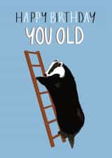 Cheeky Birthday Card - You Old - Badger created by Abbie Hawkins