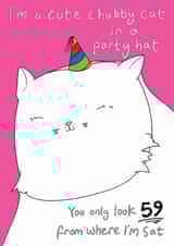 Cute Birthday Card - 60th - Party Cat created by Blueberry Magpie Cards