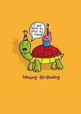 Cute Birthday Card - Belated - Tortoise created by Studio Kuma