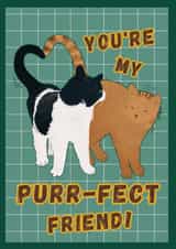 You're My Purr-fect Friend- Cat-Themed Friendship Day Card- Playful wordplay created by Six bunny ears
