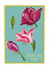 Just to say - botanical illustration, pretty notecard with bold colours. created by Eve