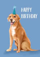 Cute Birthday Card - Labrador created by Pink Pig