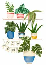 Classic New Home Card - Plants - New Home Banner created by Kaitlin Mechan