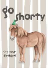 Funny Birthday Card - Shetland Pony- Go Shorty It's Your Birthday created by lil wabbit