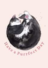 Cute Birthday Card - Sleepy Tuxedo Cat created by Amy Holliday