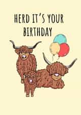 Cute Birthday Card – Highland Cows – Herd It’s Your Birthday created by Calina Ho