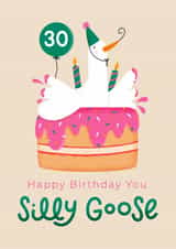 Cute Birthday Card - 30th - Silly Goose created by Joanne Hawker