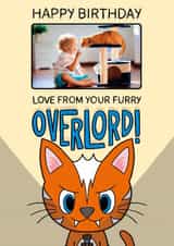 Personalised Birthday Photo Card created by TeePee Creations - Funny Birthday Card - Furry Overlord - From The Cat