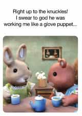 Rude Birthday Card - Glove Puppet created by Brainbox Candy