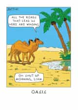 Funny Birthday/Father's Day Card - Oasis - Camels created by Paperlink and Meraki Greeting Cards