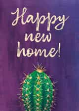 Happy new home for cactus lovers created by Claire Thomson