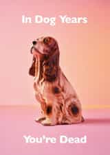 Funny Birthday Card - In Dog Years You're Dead - Kitsch Ornament created by Ornament Art
