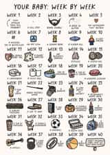 Funny Pregnancy Card - Newly Pregnant - Your Baby: Week by Week created by Sarah Harding