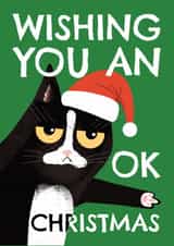 Funny Christmas Card - Grumpy Cat - Wishing You An Ok Christmas created by AbiGoLucky
