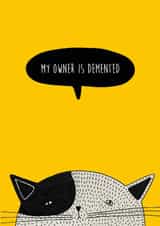 Funny Cat Birthday Card - Demented Cat Owner created by Aimee Herbert