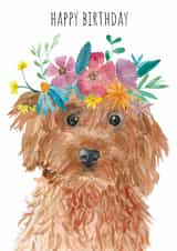 Cavapoo dog birthday card created by Pippa & Paper
