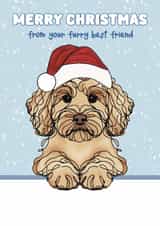 Cute Christmas Card - Cockapoo - Furry Best Friend created by Choo Choo 
