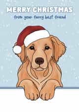 Cute Christmas Card - Golden Retriever - Furry Best Friend created by Choo Choo