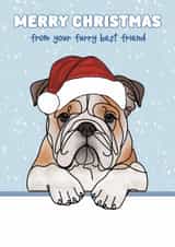 Cute Christmas Card - Bulldog - Furry Best Friend created by Choo Choo
