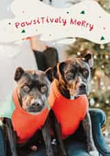 Personalised Christmas Photo Card created by letterfix - Classic Christmas Card - Pawsitively Merry