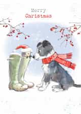 Classic Christmas Card - Collie Dog - Hedgehog created by Paper Shed Design