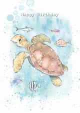 Cute Birthday Card - Sea Turtle - Fish created by Paper Shed Design