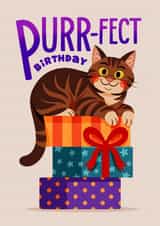 Cute Birthday Card - Cat - Presents created by Folio | Ian Owen