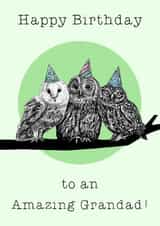 Cute Birthday Card - For Grandad - Owls created by Beth Higgins Art