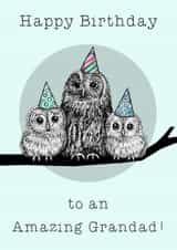 Cute Birthday Card - For Grandad - Owls created by Beth Higgins Art