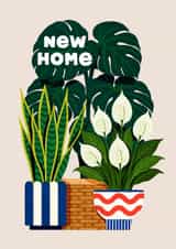 Classic New Home Card - House Plants created by Folio | Ian Owen