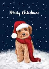 Cute Christmas Card - Merry Christmas - Cockapoo Dog created by Debbie Daley Illustrations