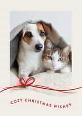 Personalised Christmas Photo Card created by letterfix - Classic Christmas Card - Cozy Wishes