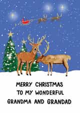 Traditional Christmas Card - Wonderful Grandma and Grandad - For Grandparents created by HCD Illustration