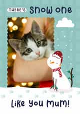 Personalised Christmas Photo Card created by Joanne Hawker - Cute Christmas Photo Card - For Cat Mum - Snow one like you - Pun - From The Cat