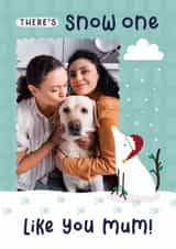 Personalised Christmas Photo Card created by Joanne Hawker - Cute Christmas Photo Card - For Dog Mum - Snow one like you - Pun - From The Dog