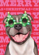 Cute Christmas Card - Staffordshire Bull Terrier - Dog created by badgerbee design