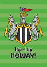 Newcastle United Football Card created by Sam Birch