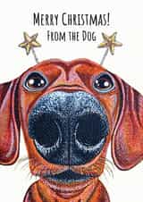 Cute sausage dog Christmas card - for a loved one - from the dog created by sarahcoxartwork