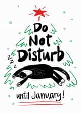 Cute Christmas Card - Do Not Disturb Until January - Cat created by StudiOllie