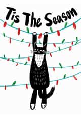 Cute Christmas Card - Christmas Lights- Tis The Season created by StudiOllie
