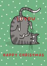 Funny Christmas Card - Cat Balls created by Sarah Harding
